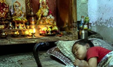 पूजा घर में दादी और बहन के साथ सो रहे 3 साल का मासूम को जहरीले करैत ने डसा, अस्पताल पहुंचने से पहले टूट गई सांस, लाठी-डंडे लेकर सांप की तलाश शुरू