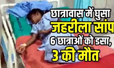 छात्रावास में आधी रात घुसा जहरीला सांप, सो रही 6 छात्राओं को डसा, 3 की मौत, मची अफरा-तफरी, परिजनों में पसरा सदमा, इलाके में दहशत का माहौल
