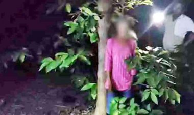बाबा कुटी के जंगल में पेड़ से लटकी मिली अज्ञात युवती की लाश, फैली सनसनी, इलाके में तरह-तरह की चर्चाएं, जांच में जुटी फिंगेश्वर पुलिस