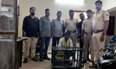गरियाबंद में वन्यजीव तस्करी के खिलाफ कसा शिकंजा, छापेमारी में सेफ हाउस में छिपाकर रखा जिंदा पैंगोलिन बरामद, तीन अंतरराज्यीय तस्कर गिरफ्तार