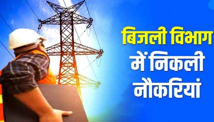 छत्तीसगढ़ बिजली कंपनी में बंपर भर्ती, 1235 पदों पर होगी नियुक्ति; डाटा एंट्री ऑपरेटर समेत कई पद शामिल, जानिए कौन-कौन से पदों पर होंगी नियुक्तियां