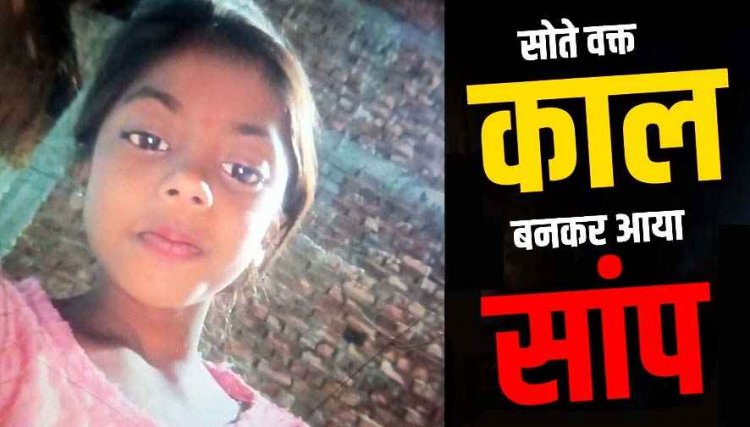 बारिश के बीच बरपा सर्पदंश का कहर, जमीन पर मां के साथ सो रही 12 साल की छात्रा को सांप ने डसा, इलाज के दौरान हुई मौत, परिवार में पसरा मातम