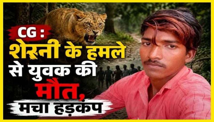 दिल दहला देने वाली घटना: शेरनी का खूनी हमला, 25 वर्षीय युवक की दर्दनाक मौत, शावक के आसपास घूम रही मादा, इलाके में दहशत का महौल