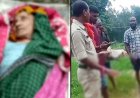 तालाब में डूबती दिखी 88 वर्षीय बुजुर्ग महिला, अस्पताल पहुंचने से पहले मौत, इधर घर से निकला युवक नहीं लौटा, नाले के पास मिला शव, दोनों मामलों में शुरू