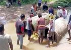 शासन-प्रशासन से बार-बार गुहार लगाकर थक चुके ग्रामीणों ने खुद उठाई जिम्मेदारी, प्रशासन की बेरुखी से चंदा जुटाकर श्रमदान करने मजबूर ग्रामीण