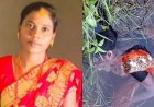 नवविवाहिता की तालाब में मिली लाश, शरीर पर मिले चोट के निशान, मायके वालों ने दहेज प्रताड़ना और हत्या का लगाया आरोप, जांच में जुटी पुलिस