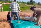 पाण्डुका में गड़े मुर्दे उखड़े तो सामने आया सनसनीखेज मामला!, 4 दिन बाद कब्र खोदकर निकाला गया महिला का शव, मायके पक्ष ने जताई हत्या की आशंका