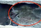 लिव-इन रिलेशनशिप में रह रही 33 वर्षीय महिला का मर्डर, सेप्टिक टैंक में छिपाई लाश, सड़ा-गला शव बरामद, आरोपी मनोज फरार, तलाश में जुटी पुलिस