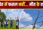 खेत में फसल बचाने लगाए करंट वाले तार की चपेट में आई फुटू निकालने गई 12 साल की बच्ची, मौके पर मौत, परिवार में पसरा मातम, कार्रवाई की मांग