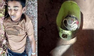 साइलेंट किलर का कहर: जहरीले करैत सांप के दो बार डसने से 13 वर्षीय मासूम बच्चे की मौत, परिवार में मचा कोहराम, सोते समय हुआ दर्दनाक हादसा