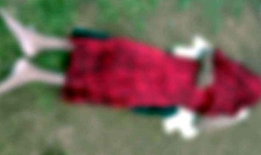 झांकी के तालाब में गिरने से 35 वर्षीय युवक की मौत, इलाके में फैली सनसनी, हादसा या कुछ और?. अभनपुर पुलिस कर रही मामले की जांच
