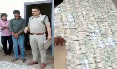  लकड़ी तस्कर मनीष अग्रवाल के घर मिला नोटों का भंडार : पुलिस की छापामारी में हाथ लगे 81 लाख रुपये नकद, अपराध से अर्जित संपत्ति मानकर कुर्की की तैयारी
