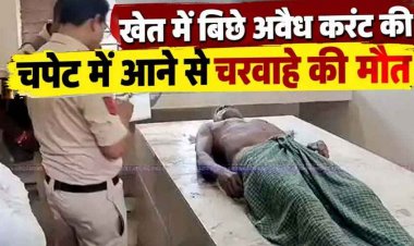 खेत में बिछे अवैध बिजली के नंगे तार की चपेट में आने से मवेशियों को चराने निकले 62 वर्षीय चरवाहे की मौत, परिवार में पसरा मातम, ग्रामीणों में नाराजगी