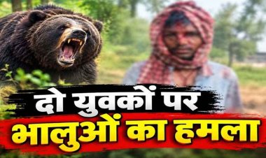 धमतरी में दो युवकों पर 4 भालुओं ने किया हमला, बाल-बाल बची एक की जान, दूसरा गंभीर, पोंड, कूटेना और कुकदा के ग्रामीणों को सतर्क रहने की सलाह