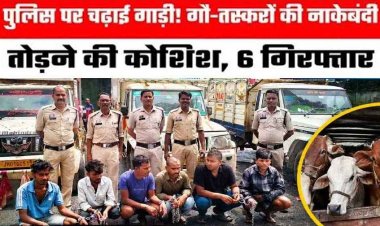गौ तस्करों का दुस्साहस: पुलिस ने रोका तो पिकअप चढ़ाने की कोशिश, 17.50 लाख के माल समेत मर्डर का प्रयास कर रहे 6 आरोपी गिरफ्तार, वाहन जप्त