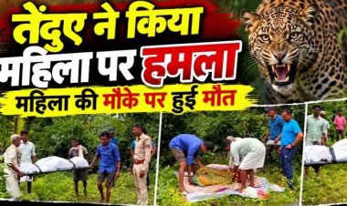 शौच के लिए निकली महिला, घर के बाहर से बुजुर्ग उकरी बाई को उठा ले गया तेंदुआ, 1 KM दूर मिला शव, गांव में तेंदुए के हमले से दहशत का माहौल