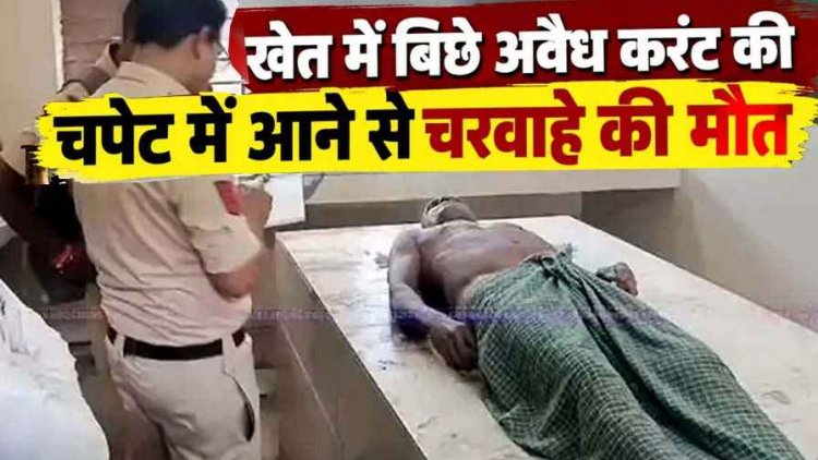 खेत में बिछे अवैध बिजली के नंगे तार की चपेट में आने से मवेशियों को चराने निकले 62 वर्षीय चरवाहे की मौत, परिवार में पसरा मातम, ग्रामीणों में नाराजगी