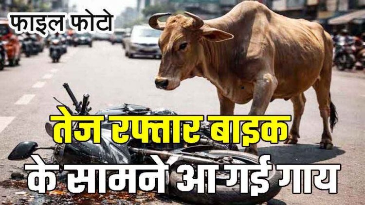 तेज रफ्तार बाइक के सामने आ गई गाय, बचाने की कोशिश में फेंसिंग से टकराई बाइक, दो की दर्दनाक मौत, 2 घयल, एक की हालत नाजुक, इलाज जारी