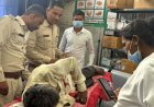गरियाबंद के जंगल में पत्ते तोड़ने गए 55 वर्षीय ग्रामीण पर भालू का हमला, पेट और जांघ में गंभीर चोटें, जिला अस्पताल में इलाज जारी, ग्रामीणों में चिंता का माहौल