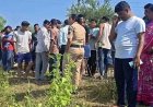 सड़क किनारे झाड़ियों में मिली युवक की लाश, 10 फीट नीचे खेत में मिली बाइक, हत्या या हादसा, मामले की जांच में जुटी फिंगेश्वर पुलिस