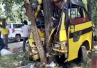 पेड़ से टकराई तेज रफ्तार अनियंत्रित यात्री बस, मची चीख-पुकार, ड्राइवर समेत 6 यात्रियों की मौत, 15 घायलों को पहुंचाया गया अस्पताल