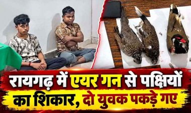 वन्यप्राणी सप्ताह में शिकार की कोशिश, जंगल में एयर गन लेकर निकले दो युवक, वन विभाग ने रोका तो सामने आया राज, 2 शिकारी गिरफ्तार, मृत पक्षी बरामद