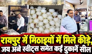 रायपुर में त्योहारी सीजन के दौरान मिठाइयों में मिले कीड़े, स्टोरेज में मिली भारी गंदगी, जय अंबे स्वीट्स, जनता स्वीट्स और स्वीट हार्ट सील