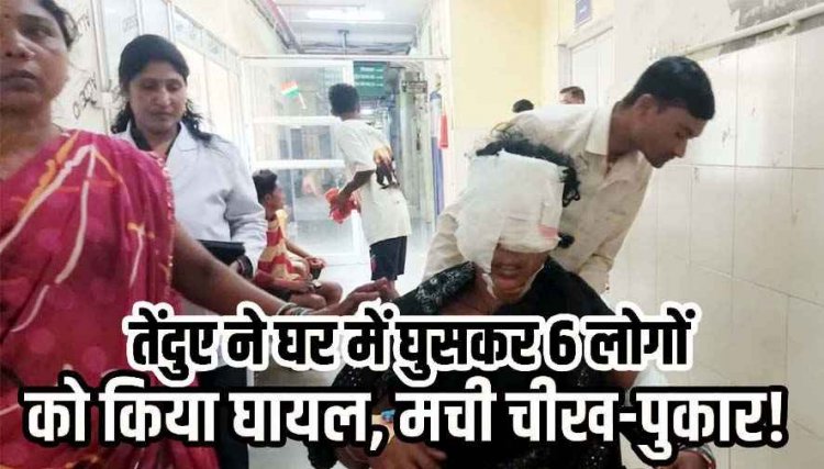 आधी रात घर में घुसकर तेंदुए ने 6 लोगों पर किया हमला, परिवार ने कमरे में किया बंद, 3 गंभीर घायल रायपुर रेफर, अस्पताल में वैक्सीन नहीं होने पर उठे सवाल