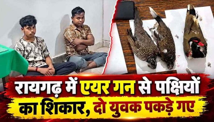 वन्यप्राणी सप्ताह में शिकार की कोशिश, जंगल में एयर गन लेकर निकले दो युवक, वन विभाग ने रोका तो सामने आया राज, 2 शिकारी गिरफ्तार, मृत पक्षी बरामद